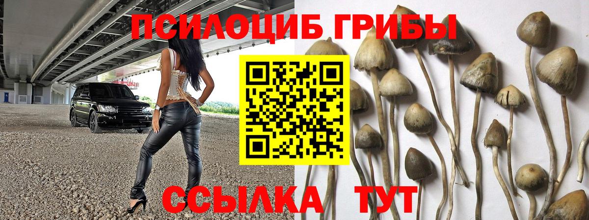 Галлюциногенные грибы Psilocybe  Псилоцибиновые грибы Psilocybe  Кандалакша  Вход с VPN 