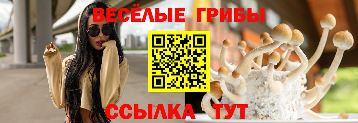 Галлюциногенные грибы прущие грибы Кандалакша